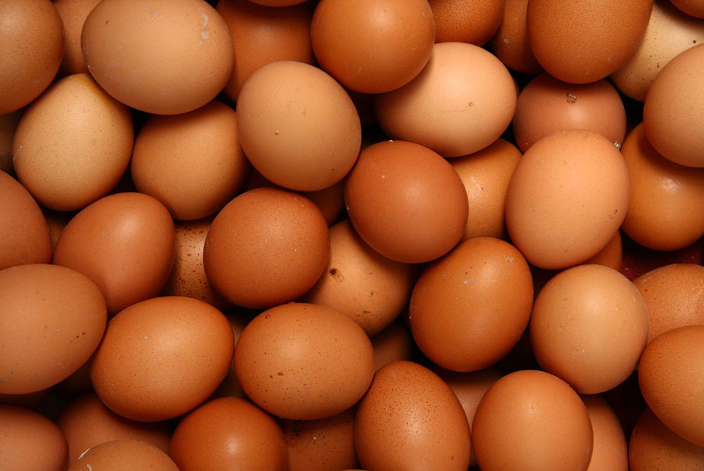 Chinese Egg Producers Remove Cages From New Constructions