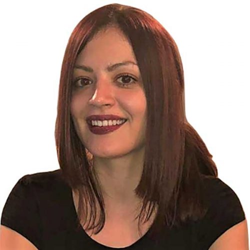 About Lever Foundation